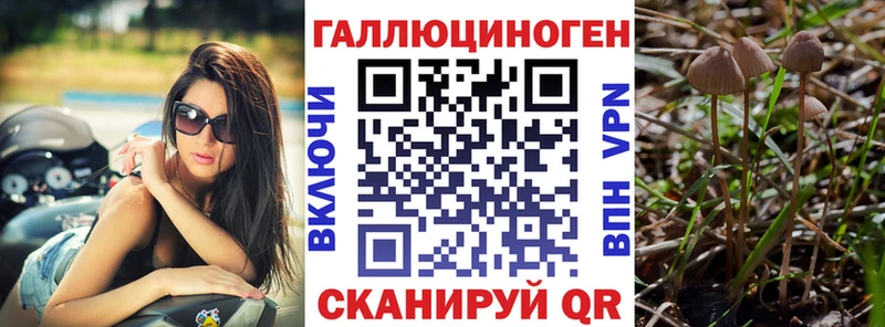 где купить наркоту  Усолье-Сибирское  Псилоцибиновые грибы Magic Shrooms 