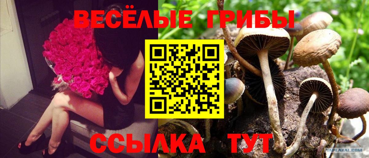 Галлюциногенные грибы Magic Shrooms Усолье-Сибирское